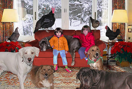 foto bon nadal